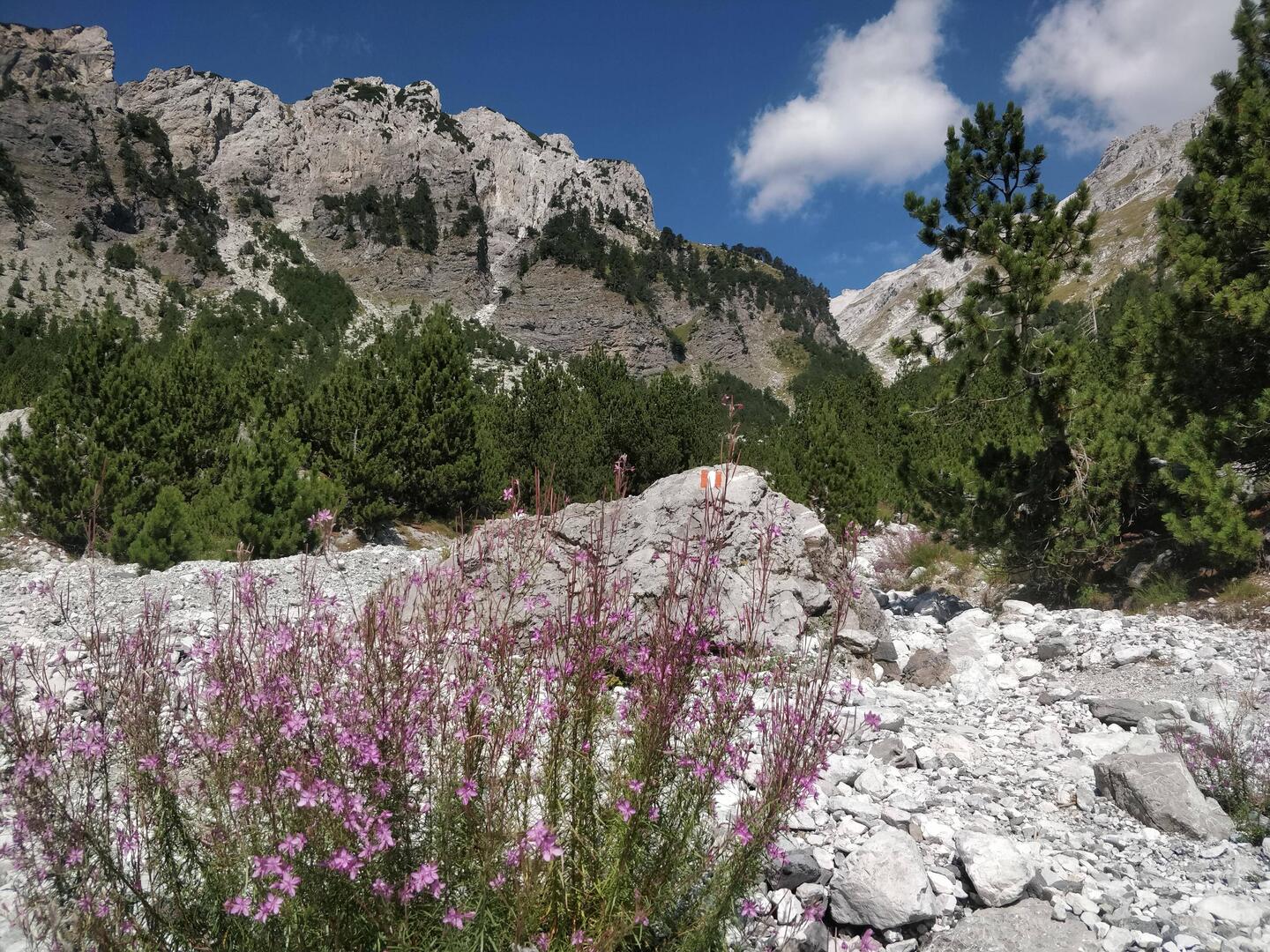 Auf zum Thethipass