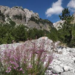 Auf zum Thethipass