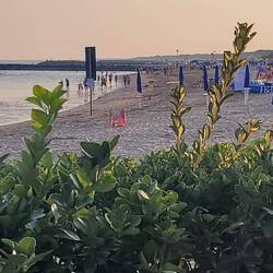Ein letzter Blick über den Strand.