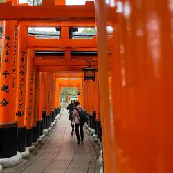 Touristen-Magnet Nr. 1 in Kyoto