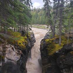 Siffleur Falls