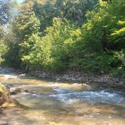 Ein idealer Platz für unser Vorhaben👌