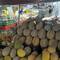 Durian, die Stinkefrucht.