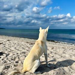 Johnny bleibt gewohnt auf Abstand und somit seinem Standpunkt..