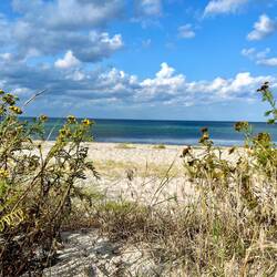 ..treu: "Nur Süßwasser ist sicheres Wasser!"
