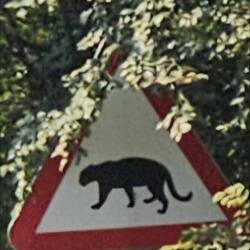 Im Nationalpark