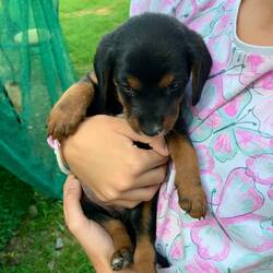 Der lief hier rum 🥰