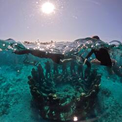 Bask Nest underwater sculptures 👭👫👬🧑‍🤝‍🧑