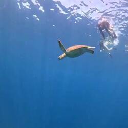 unbeschreiblich 🐢