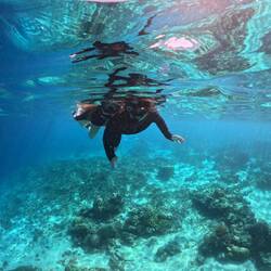 Life looks better underwater 🐠🐚🪸