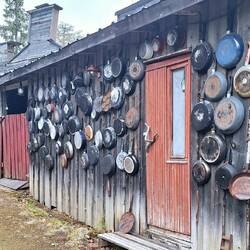 Welche Pfanne nehmen ich denn?