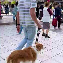 Großstadt halt 🤷🏼‍♀️😂