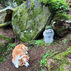 Nala hat endlich einen Freund gefunden 🙃