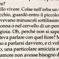 Leggendo Herman Hesse nel bosco