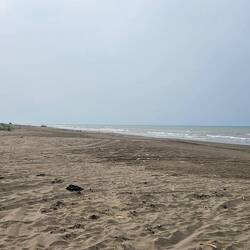 Der Strand am kaspischen Meer