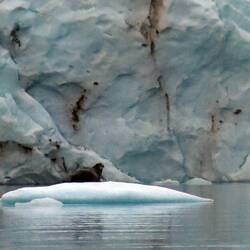 What are you doing here