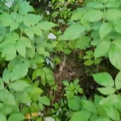 Ganz wichtig, dass ich den Weg gegangen bin.