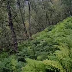 Ich denke, der Wanderweg ist klar ersichtlich.