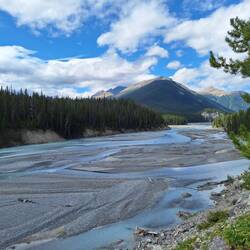 Weiter geht's auf dem Icefield Parkway Richtung Jasper