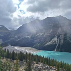Der Peyto Lake und sein Sander