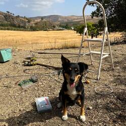 Sie erinnert mich so sehr an Phoebe-Maus. 😢❤️‍🩹