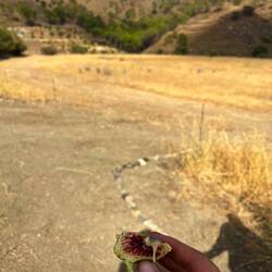 Überall gibt's so viel leckeres zu entdecken 😍