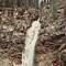 Bisschen klettern an den Laughing Falls