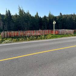 Vegetable gardens along the highway