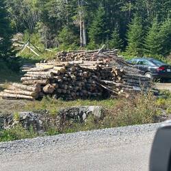 Wood ready to be bucked up