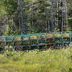 New and improved lobster traps