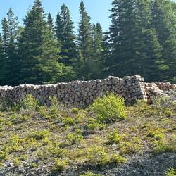 Piles of firewood are common alongside every road
