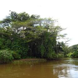 Ufem Fluss