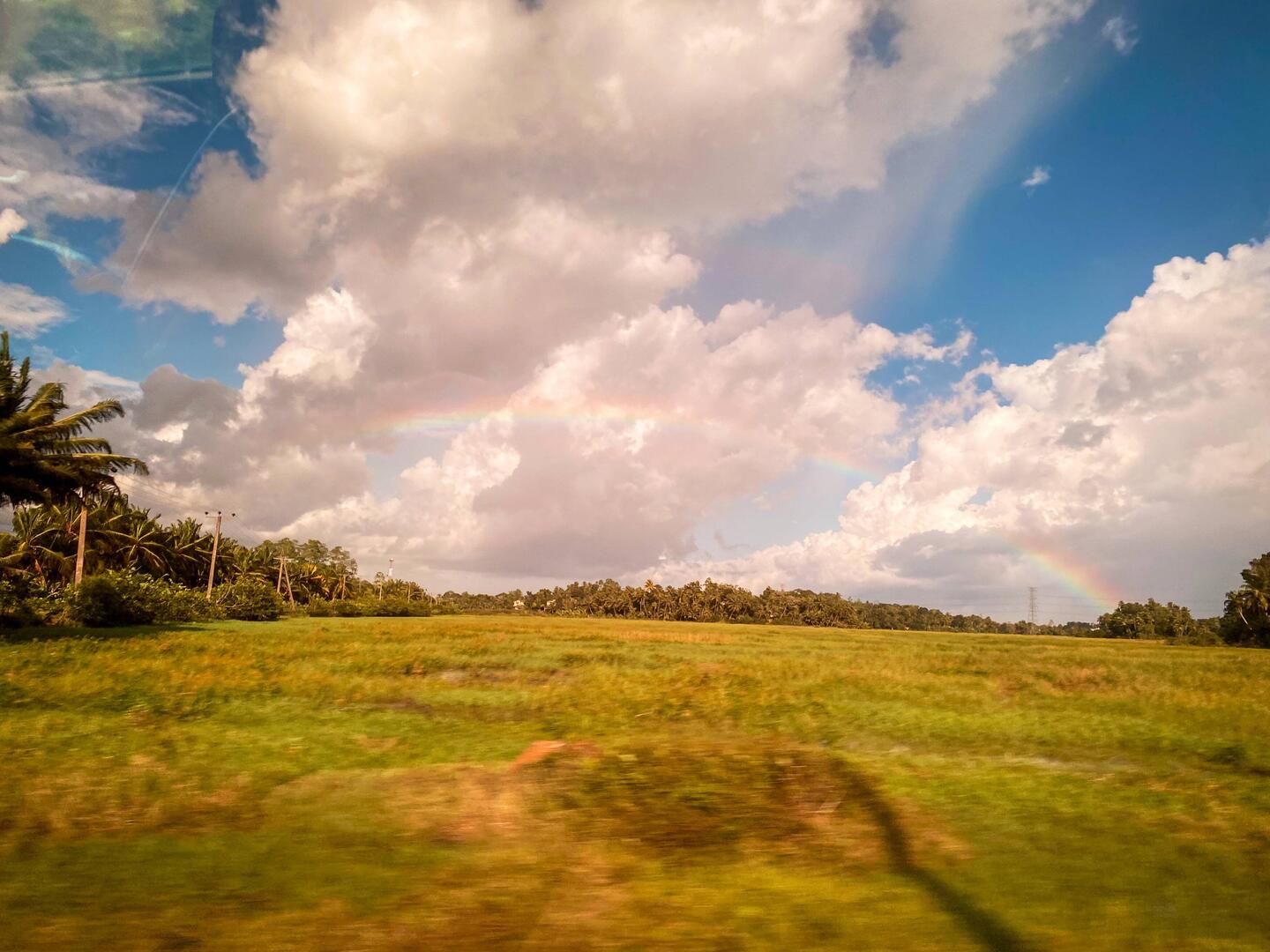 🌈