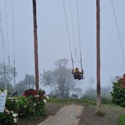 In der Casa del Arbol