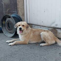 Der Schatten aber sein liebster Platz😎