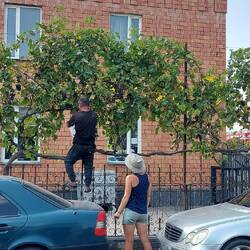 Weintrauben- echt nett die Jungs