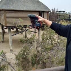 Die ganze Düne im Schuh