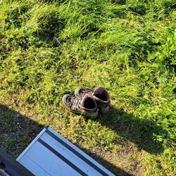 Der verzweifelte Versuch, die Schuhe vom gestrigen Ausflug zu trocknen.