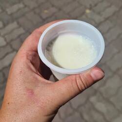 Trying kymyz. It's actually not unpleasant. Kind of fizzy.