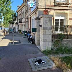 Wartezimmer Tierarzt - Docteur Veterinaire Schild