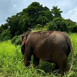 Der macht Erde auf sich, weil es so heiß ist