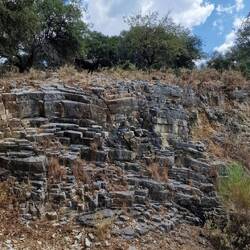 Suchbild .....wo ist der Stier