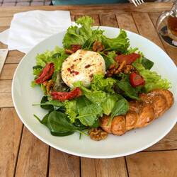 Mixed green salad with Camembert cheese