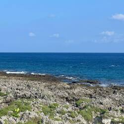 Looking for New Zealand