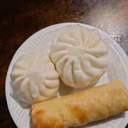 Dumplings & Frühlingsrolle