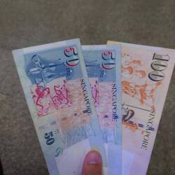 Neues Land / neues Geld