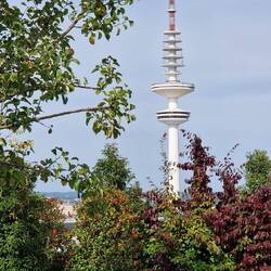 Der "Telemichel"