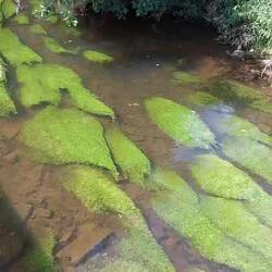 Das wunderbare Flüsschen Kössein!