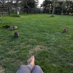 Unsere Dauergäste ☺️