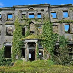 Die Natur holt sich das Herrschaftshaus zurück